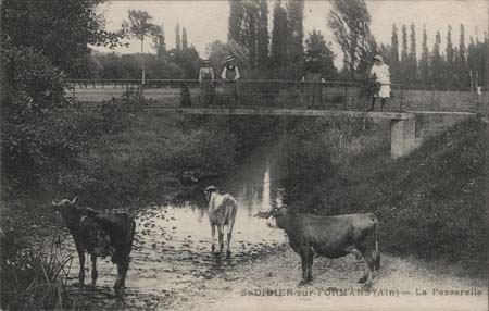 passerelle_01