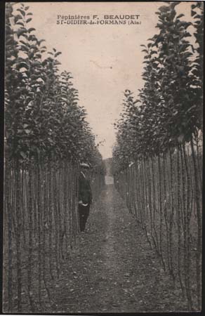 pepinieres_beaudet
