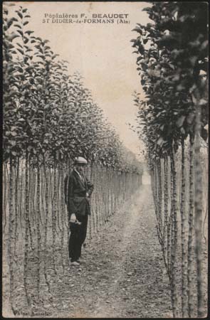 pepinieres_beaudet_02